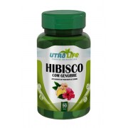 HIBISCO COM GENGIBRE 90 Cápsulas 500mg